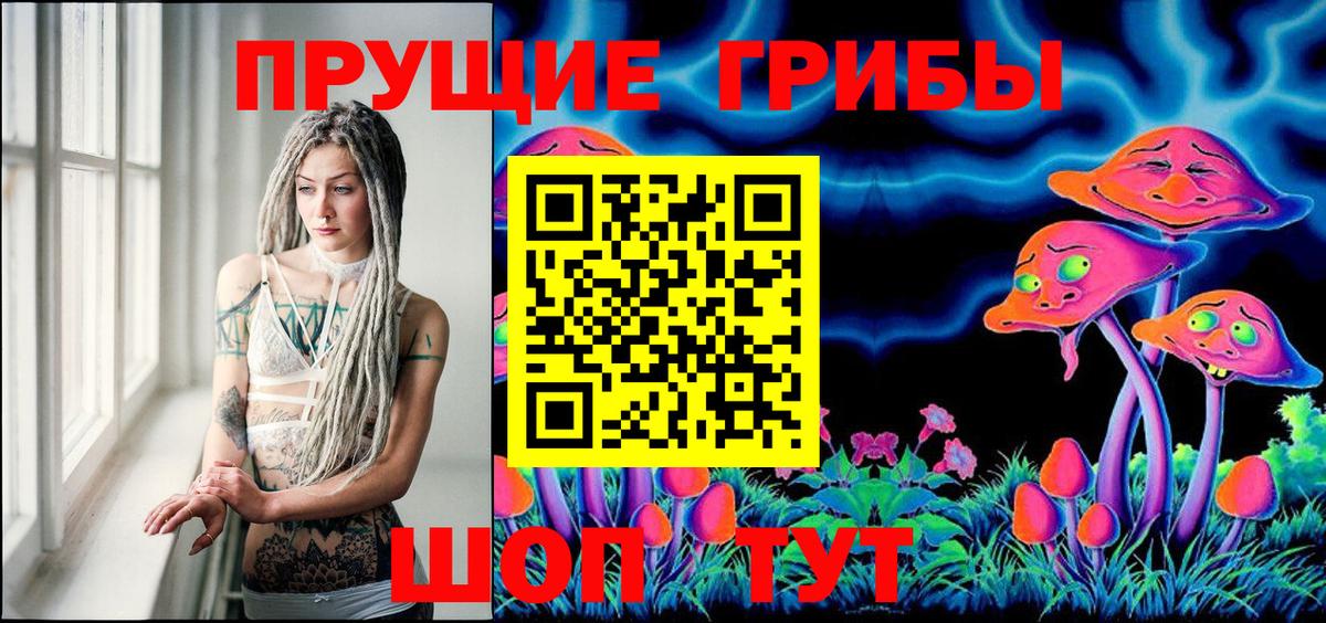 Псилоцибиновые грибы Psilocybe  Вход с VPN  Печора 